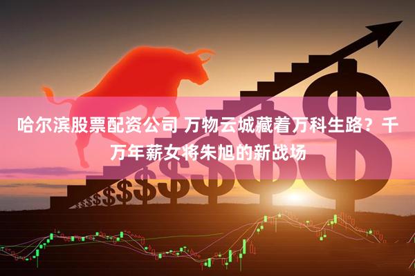 哈尔滨股票配资公司 万物云城藏着万科生路？千万年薪女将朱旭的新战场