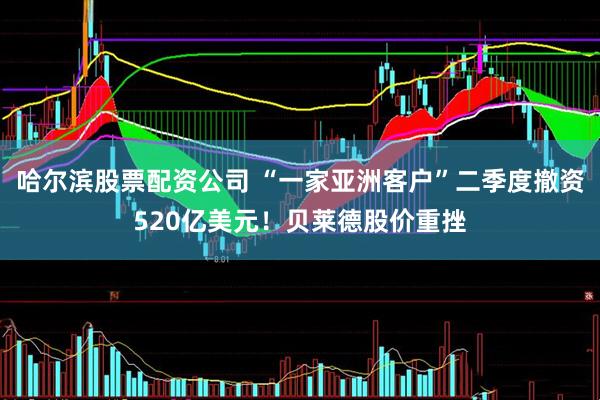 哈尔滨股票配资公司 “一家亚洲客户”二季度撤资520亿美元！贝莱德股价重挫