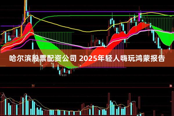 哈尔滨股票配资公司 2025年轻人嗨玩鸿蒙报告
