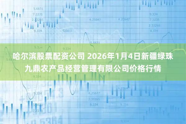 哈尔滨股票配资公司 2026年1月4日新疆绿珠九鼎农产品经营管理有限公司价格行情